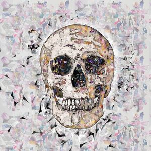 CROPPED SKULL #2