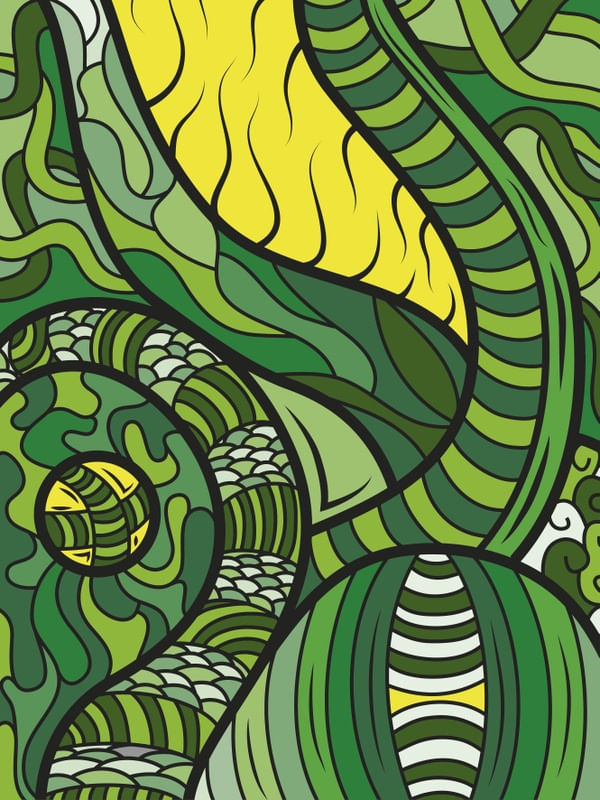 ORGANIC GRAFIDOODLE