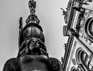 DAMA DE AÇO