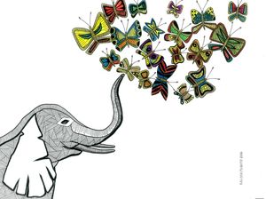 ELEPHANT BUTTERFLIES