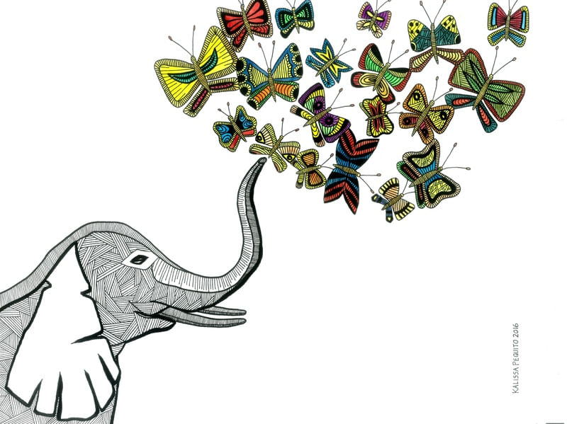 ELEPHANT BUTTERFLIES