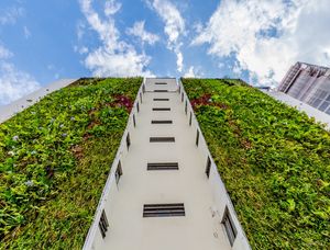 PAREDE VERDE