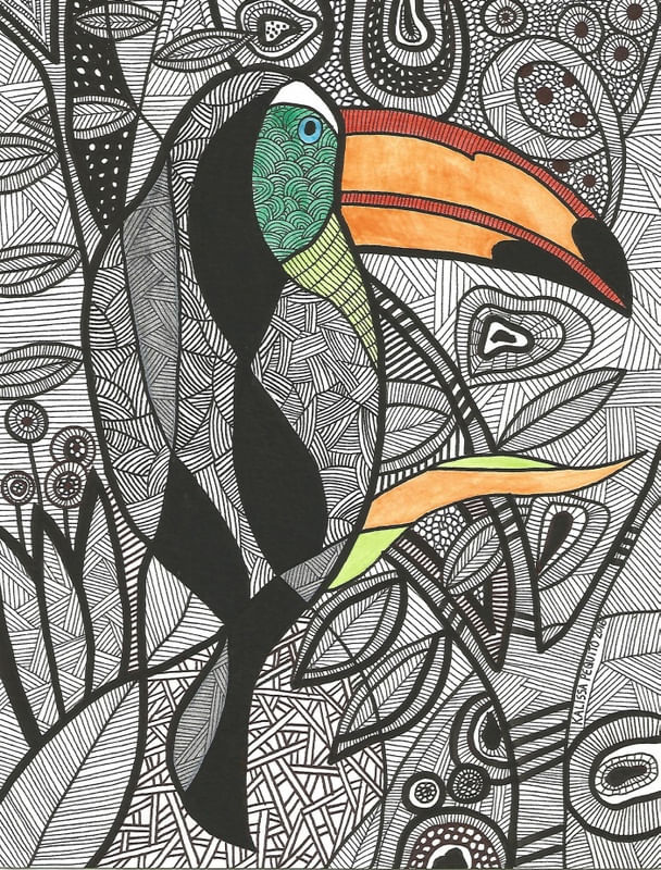 TUCANO BRASIL