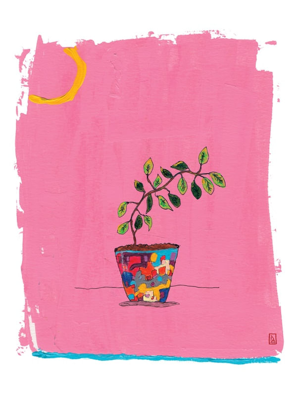 VIDA 1