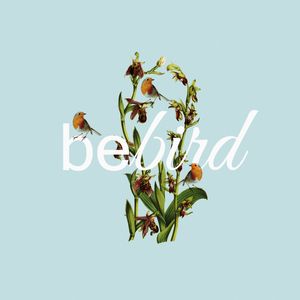 BE BIRD