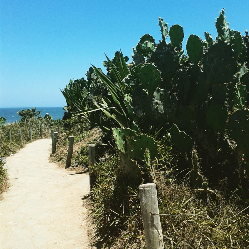 CAMINHO ARPOADOR