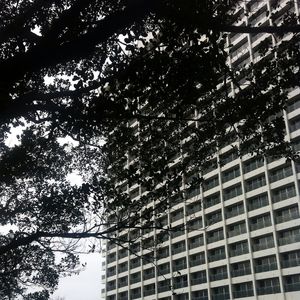 ORGÂNICO E GEOMÉTRICO