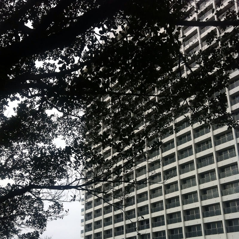 ORGÂNICO E GEOMÉTRICO