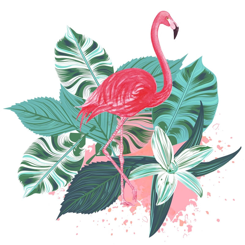 FLAMINGO PLANTS