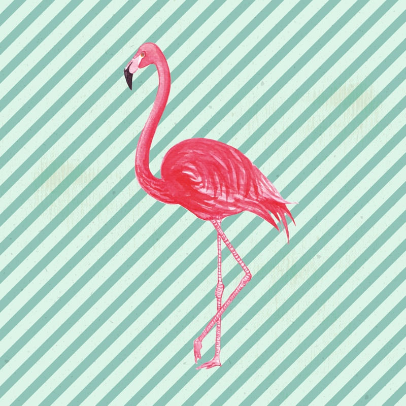 FLAMINGO STRIPES