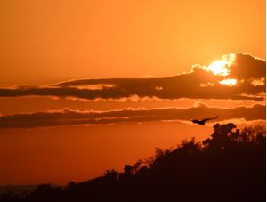 VOANDO RUMO AO SOL