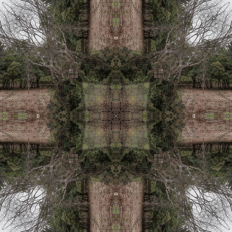 WOODS MANDALA