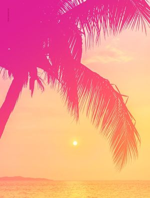 SUNSET TROPICAL