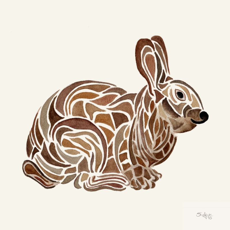 COELHOSUE