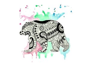URSO ÉTNICO