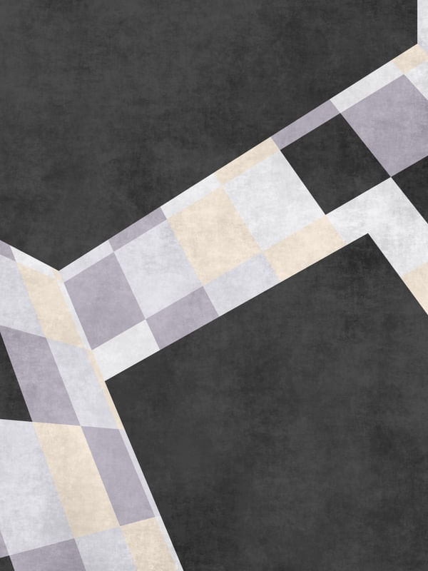 GEOMETRIC ILLUSION 019