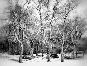 WINTER IN NY