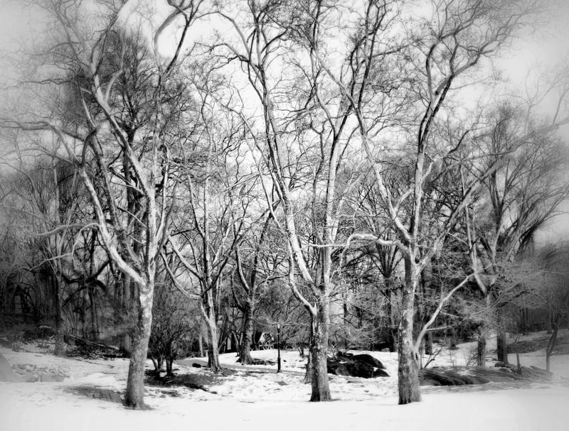 WINTER IN NY