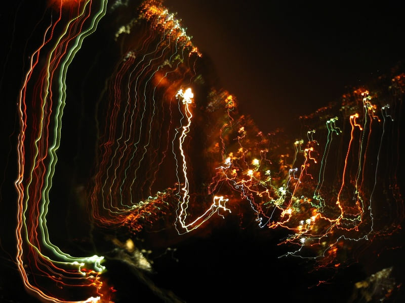 ELECTRIC BUTTERFLY 3