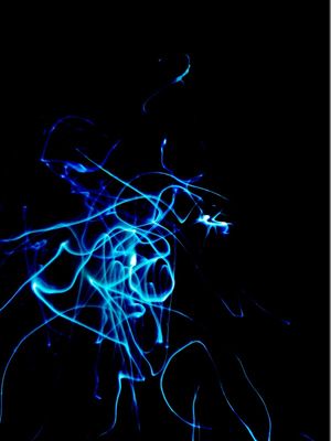 HIDDEN GHOSTS 2