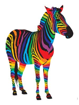 COLORFUL ZEBRA