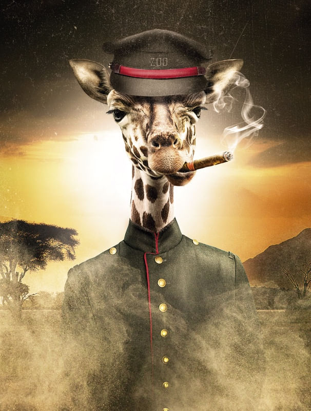 THE ZOO BOSS