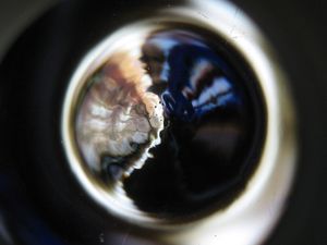 WORMHOLE 08