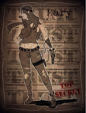 MARY THE PILOT