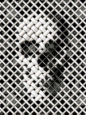 WICKER SKULL