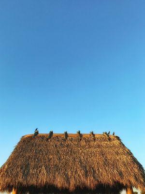 SAPÊ