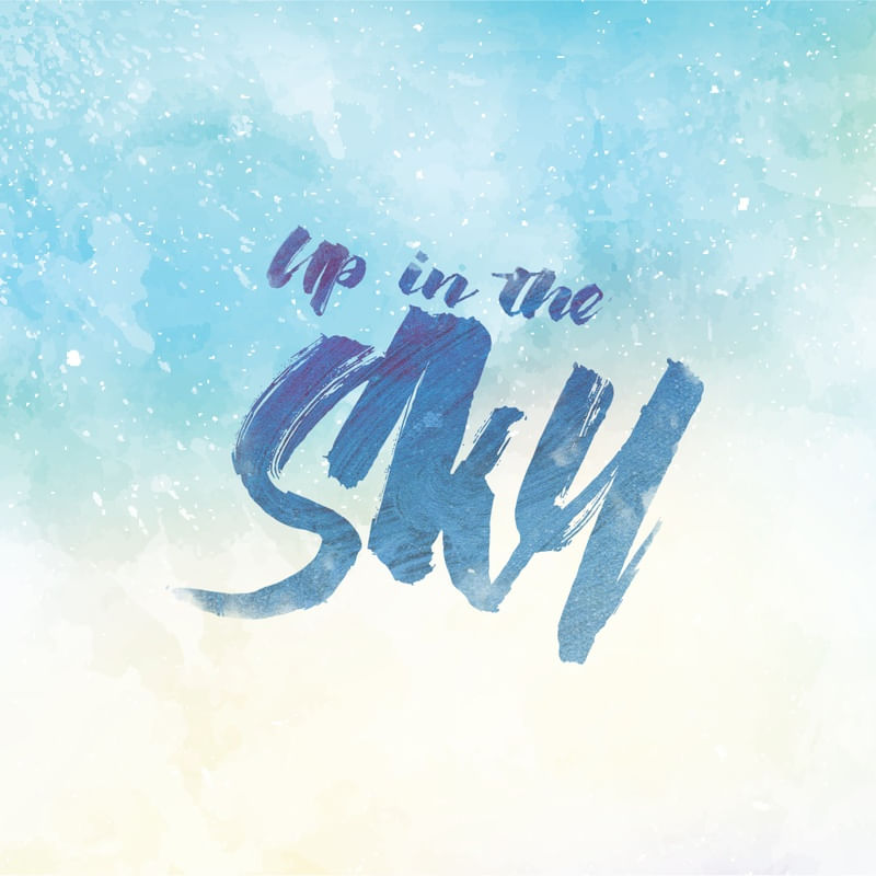 UP TO THE SKIES