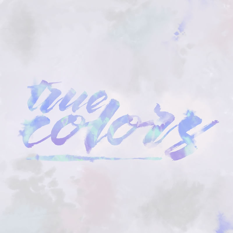 THE TRUE COLORS
