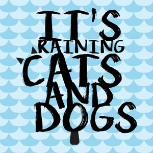CATS AND DOGS