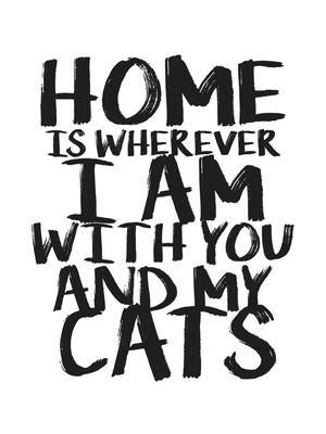 HOME, YOU CATS