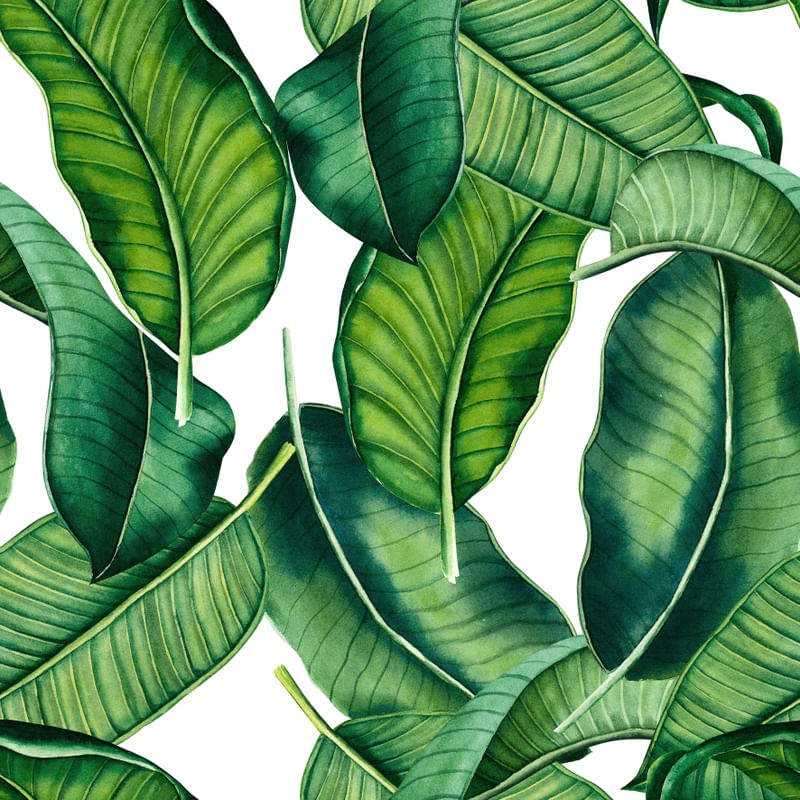 TROPICAL ART