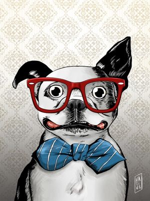 DOG STYLES