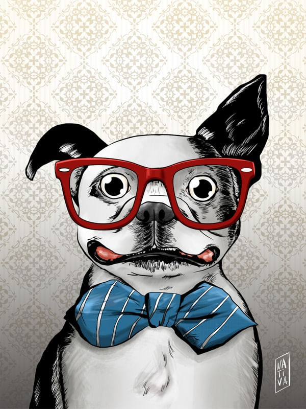 DOG STYLES