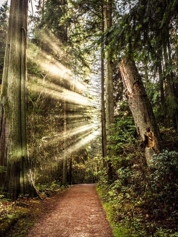 STANLEY PARK 2