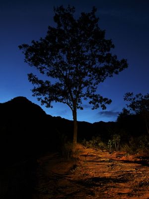 CAMINHO 01