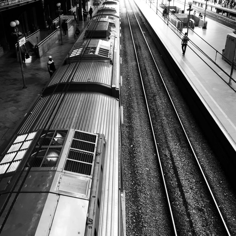 TRAIN SP