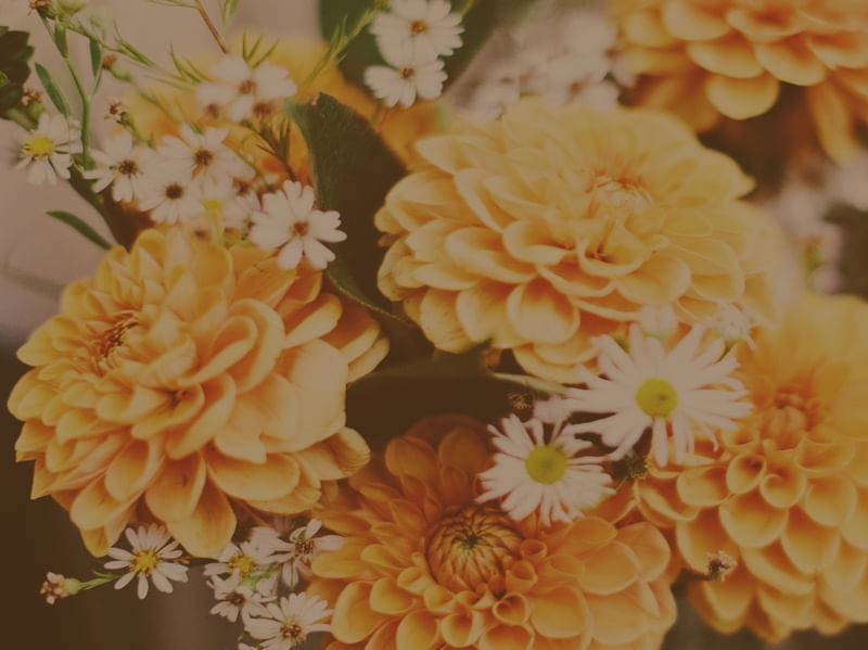 AUTUMN FLORAL