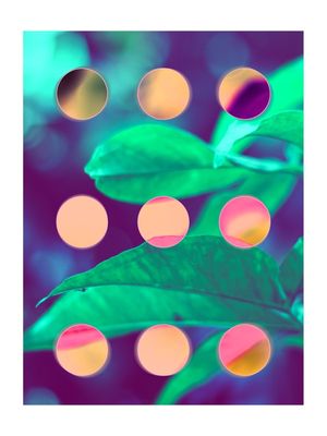 DOTTED PLANTS