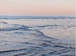 PACIFIC DREAMING