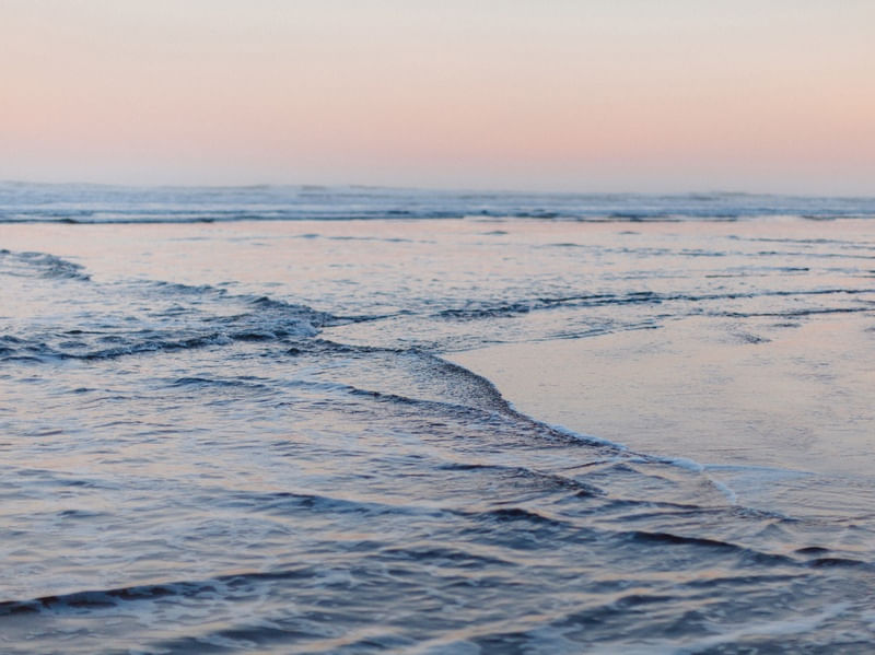 PACIFIC DREAMING
