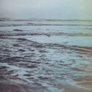 POLAROID WAVES