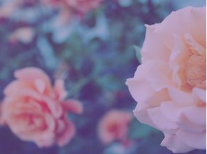 PRETTY FLORAL