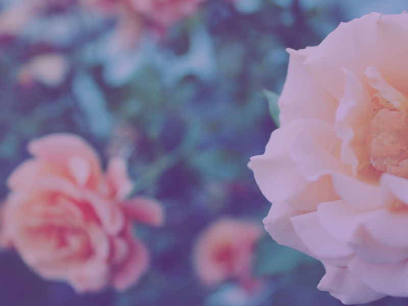 PRETTY FLORAL
