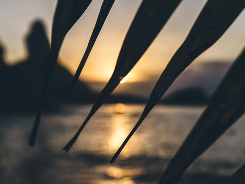 SUNSET BAY
