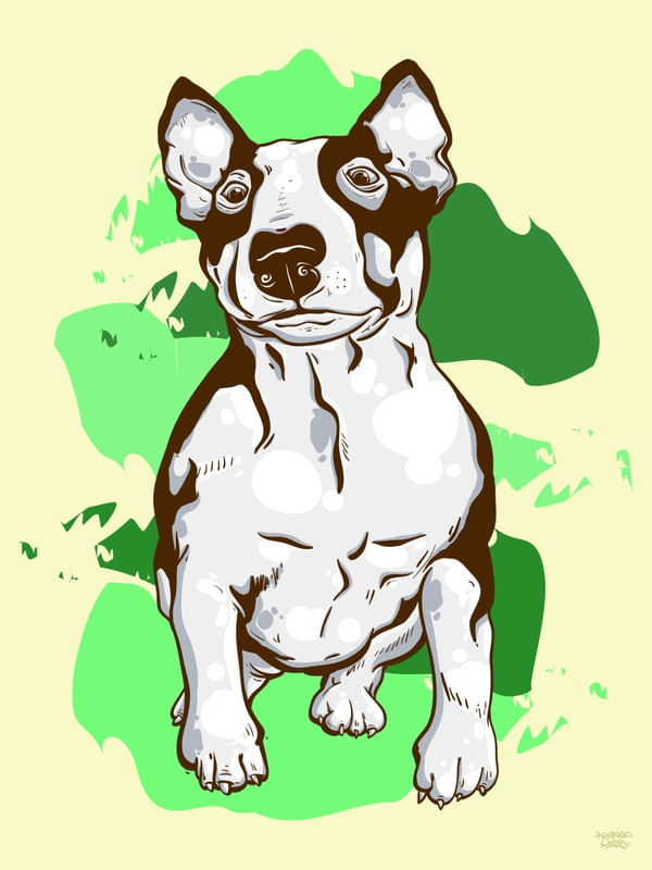 BULLART