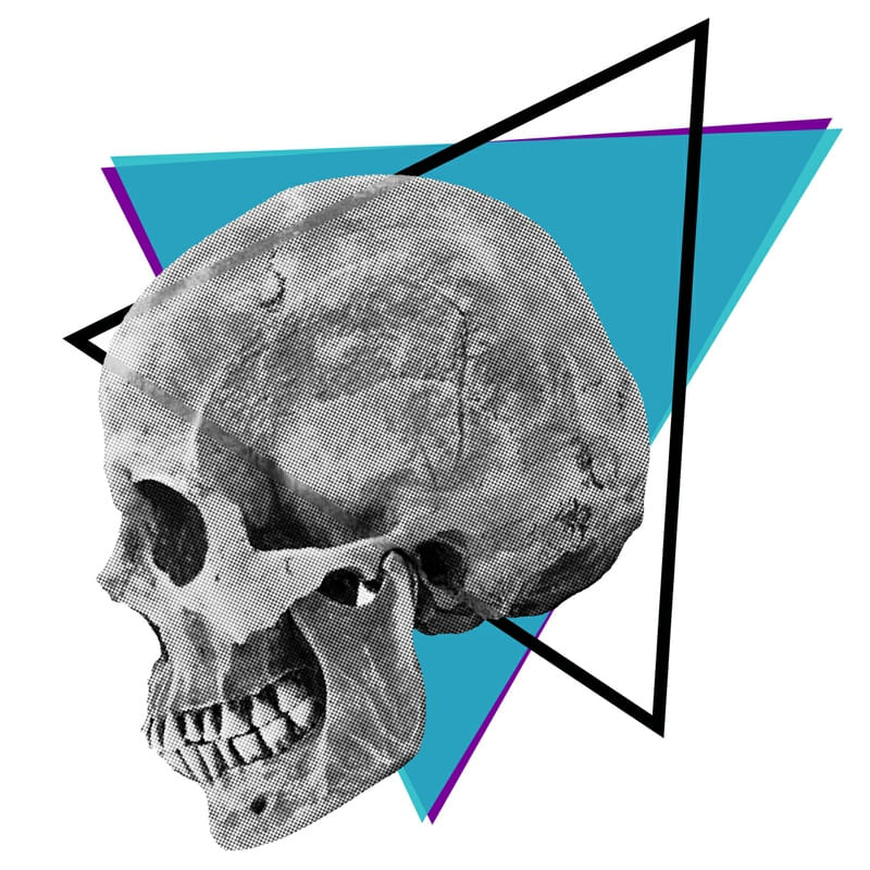 GEOMETRY SKULL